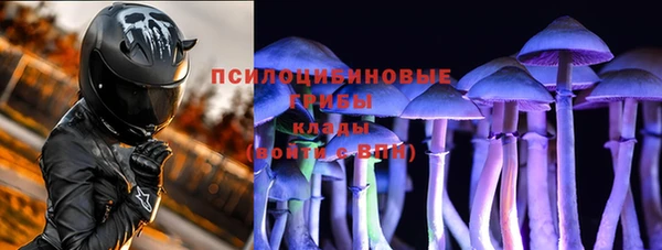 PSILOCYBIN Остров