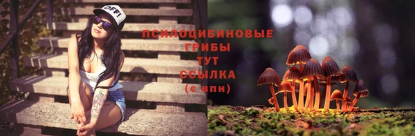mdpv Няндома