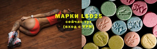 PSILOCYBIN Остров